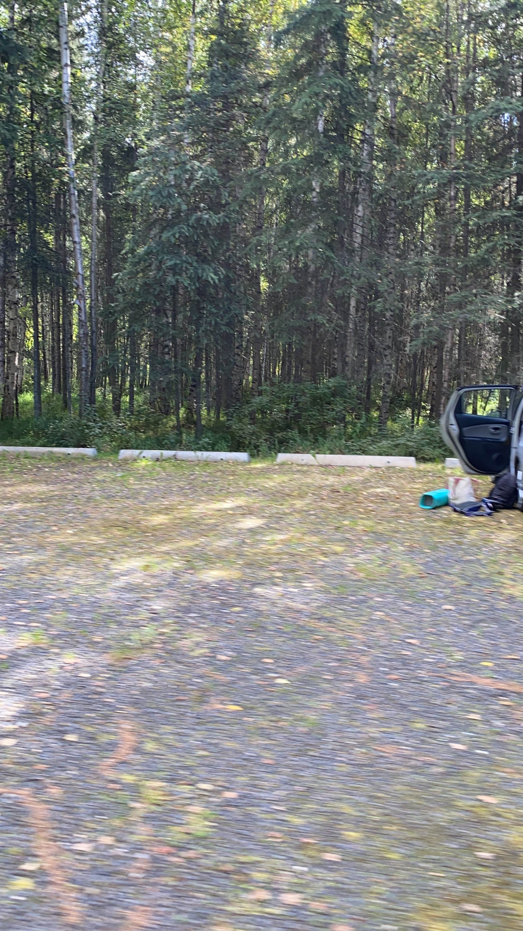 Camper-submitted photo at Rosehip Campground near Eielson AFB, AK