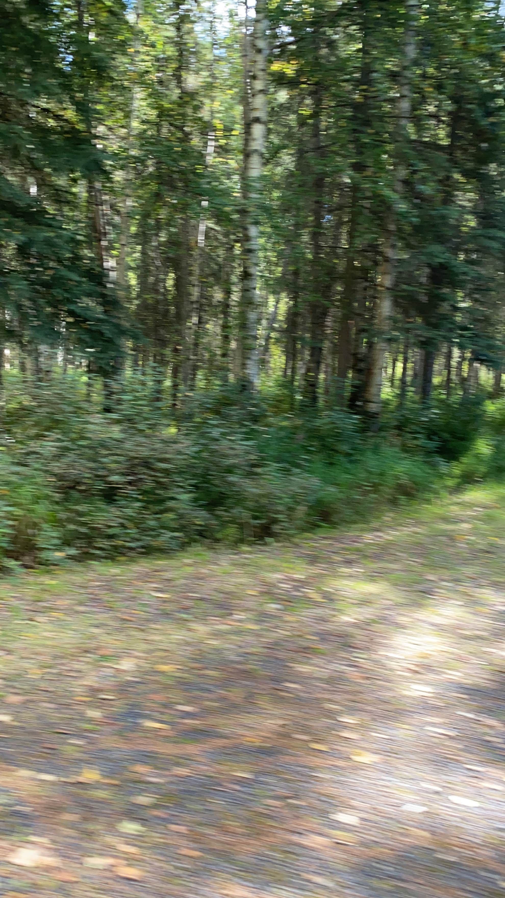 Camper submitted image from Rosehip Campground - 3