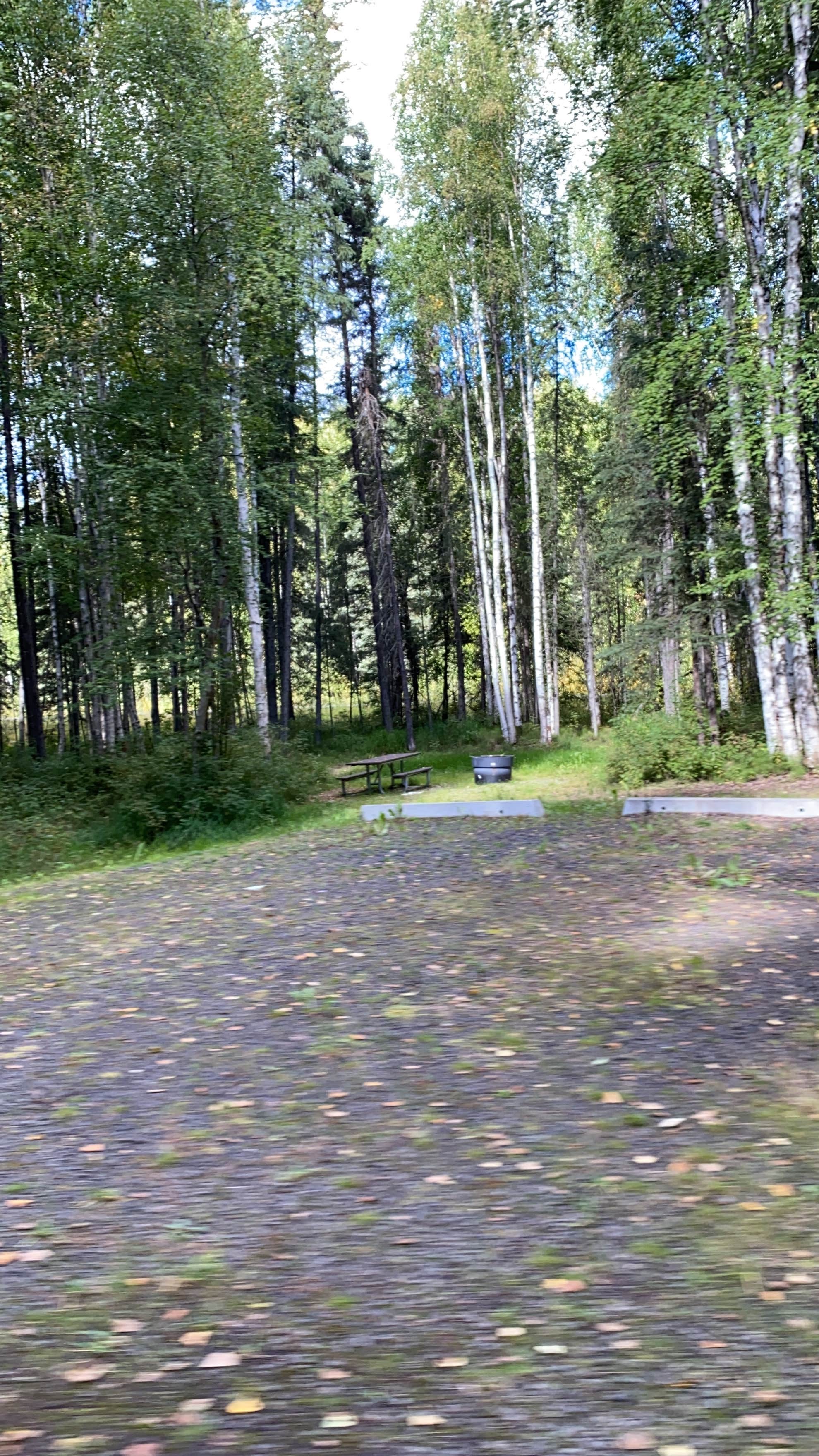 Camper-submitted photo at Rosehip Campground near Eielson AFB, AK
