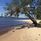 Review photo of Goose Creek State Park Campground by Charles G., May 14, 2018