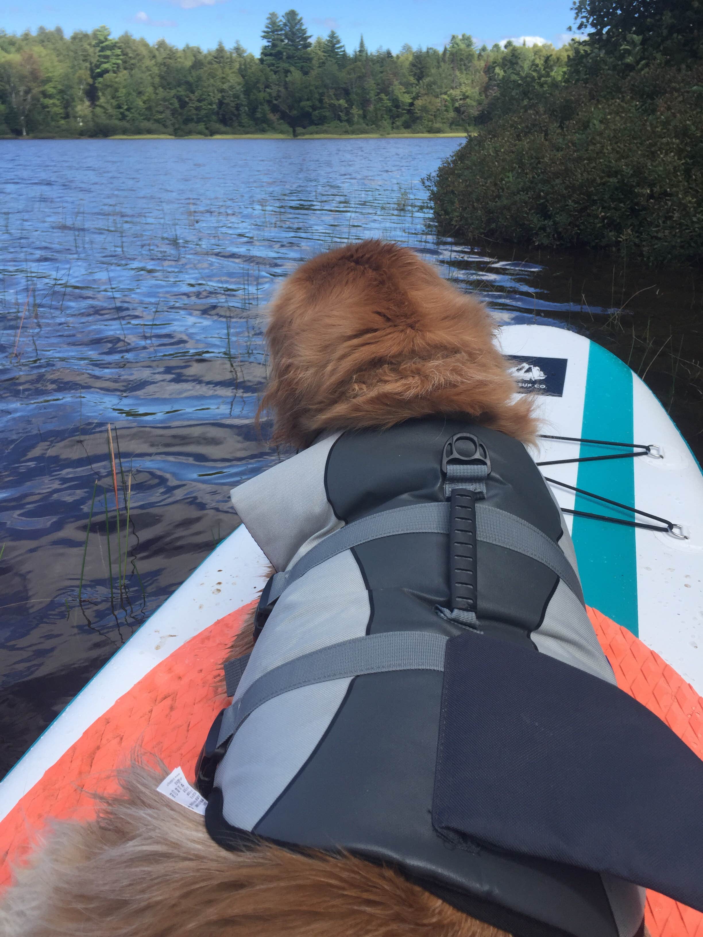 Camper-submitted photo at Rollins Pond Campground near Massena, NY