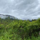 Review photo of Bertha Creek Campground — Chugach National Forest by Tanya B., September 6, 2020