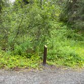 Review photo of Bertha Creek Campground — Chugach National Forest by Tanya B., September 6, 2020