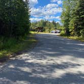 Review photo of Chena River Dispersed by Tanya B., September 6, 2020