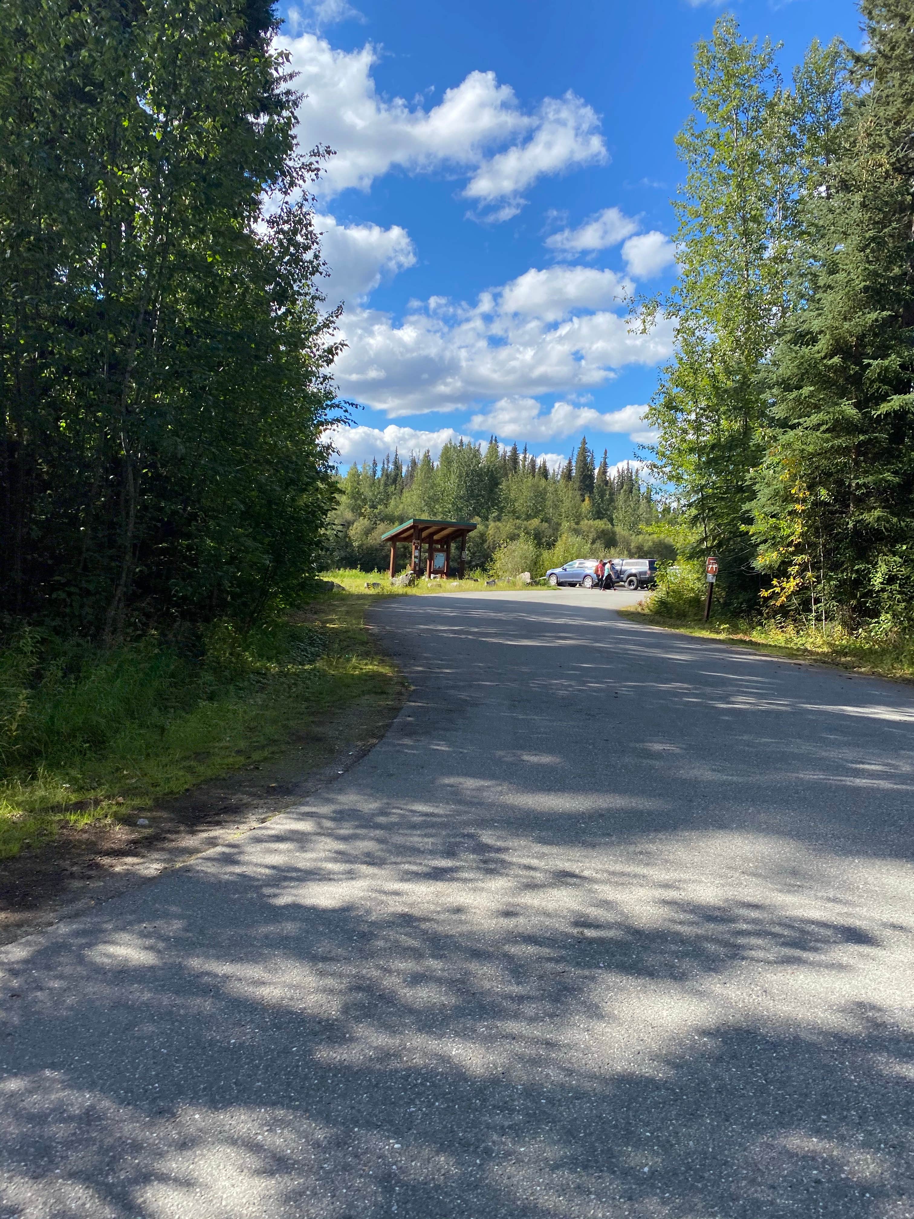 Camper submitted image from Chena River Dispersed - 4