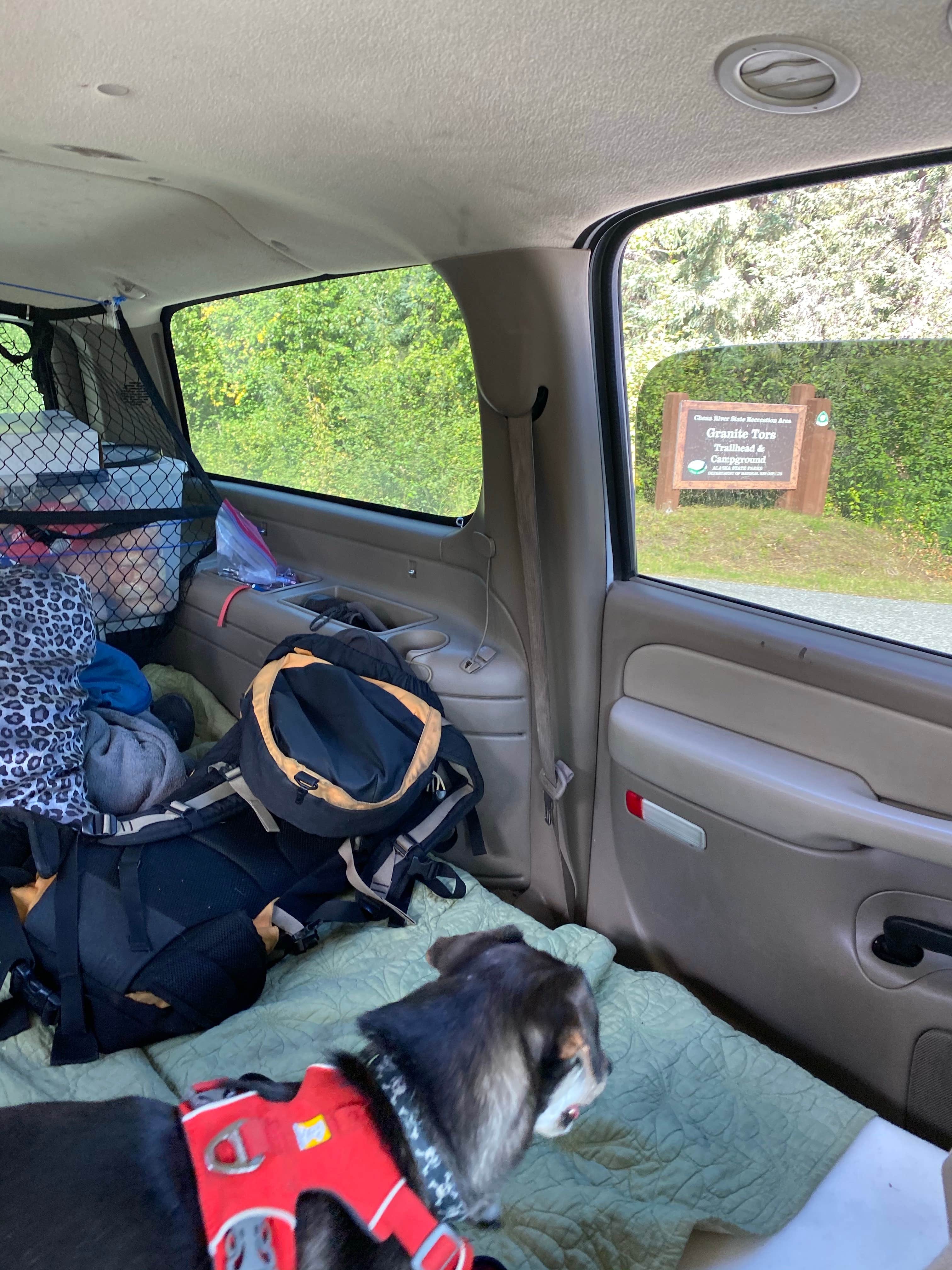 Tanya B.'s photo of camping with pets at Chena River Dispersed near Eielson AFB, AK