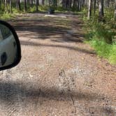 Review photo of Red Squirrel Campground by Tanya B., September 6, 2020