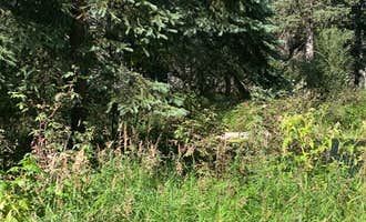 Camping near Chena Hot Springs Resort: Red Squirrel Campground, Eielson AFB, Alaska