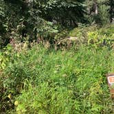 Review photo of Red Squirrel Campground by Tanya B., September 6, 2020