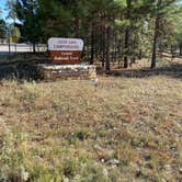 Review photo of Jacob Lake Campground - Kaibab National Forest by Amy E., September 6, 2020