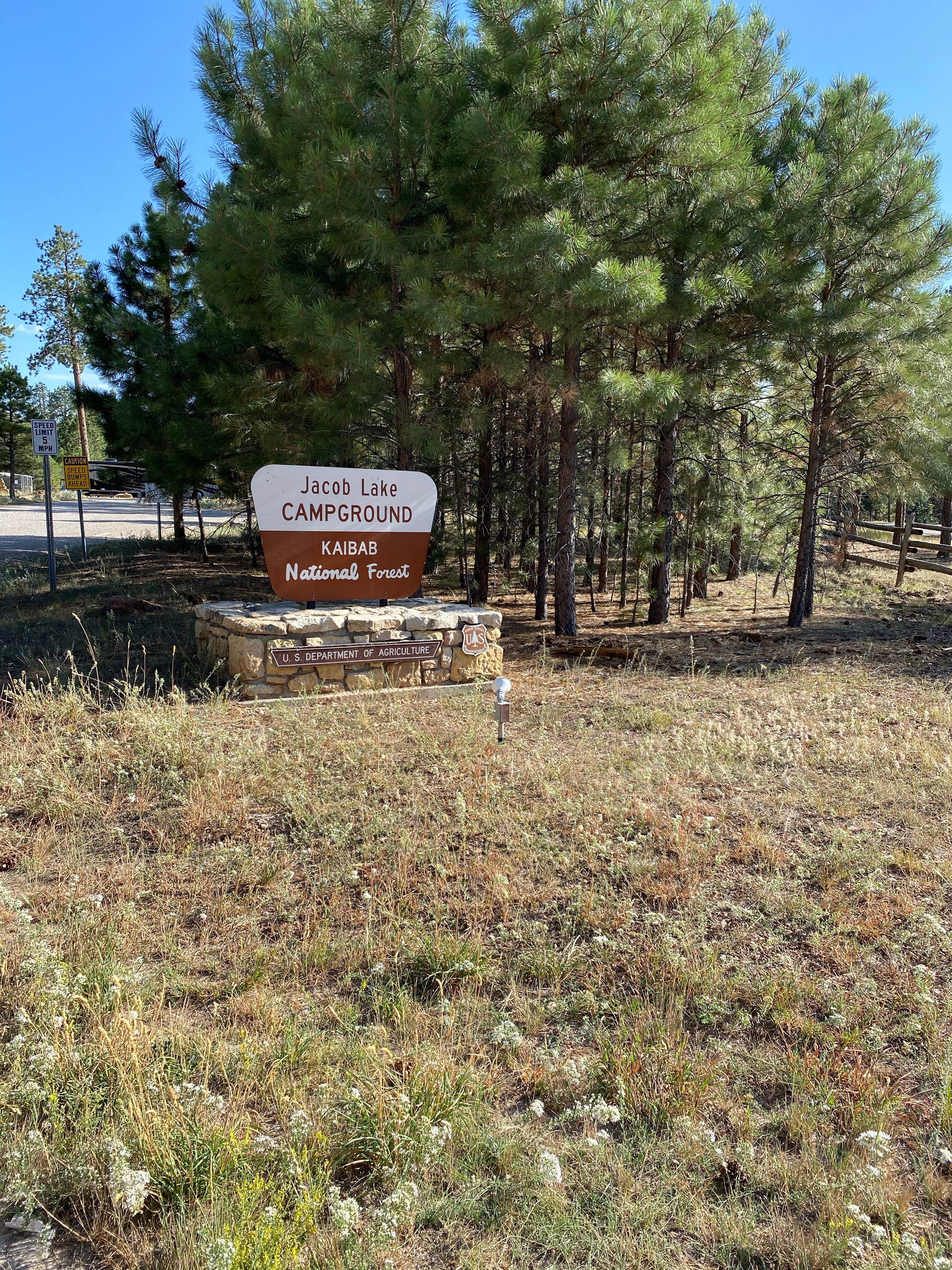 Camper submitted image from Jacob Lake Campground - Kaibab National Forest - 4