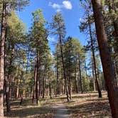 Review photo of Jacob Lake Campground - Kaibab National Forest by Amy E., September 6, 2020