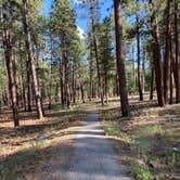 Review photo of Jacob Lake Campground - Kaibab National Forest by Amy E., September 6, 2020