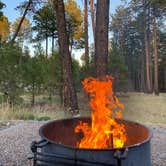 Review photo of Jacob Lake Campground - Kaibab National Forest by Amy E., September 6, 2020