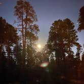 Review photo of Jacob Lake Campground - Kaibab National Forest by Amy E., September 6, 2020