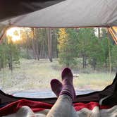 Review photo of Jacob Lake Campground - Kaibab National Forest by Amy E., September 6, 2020