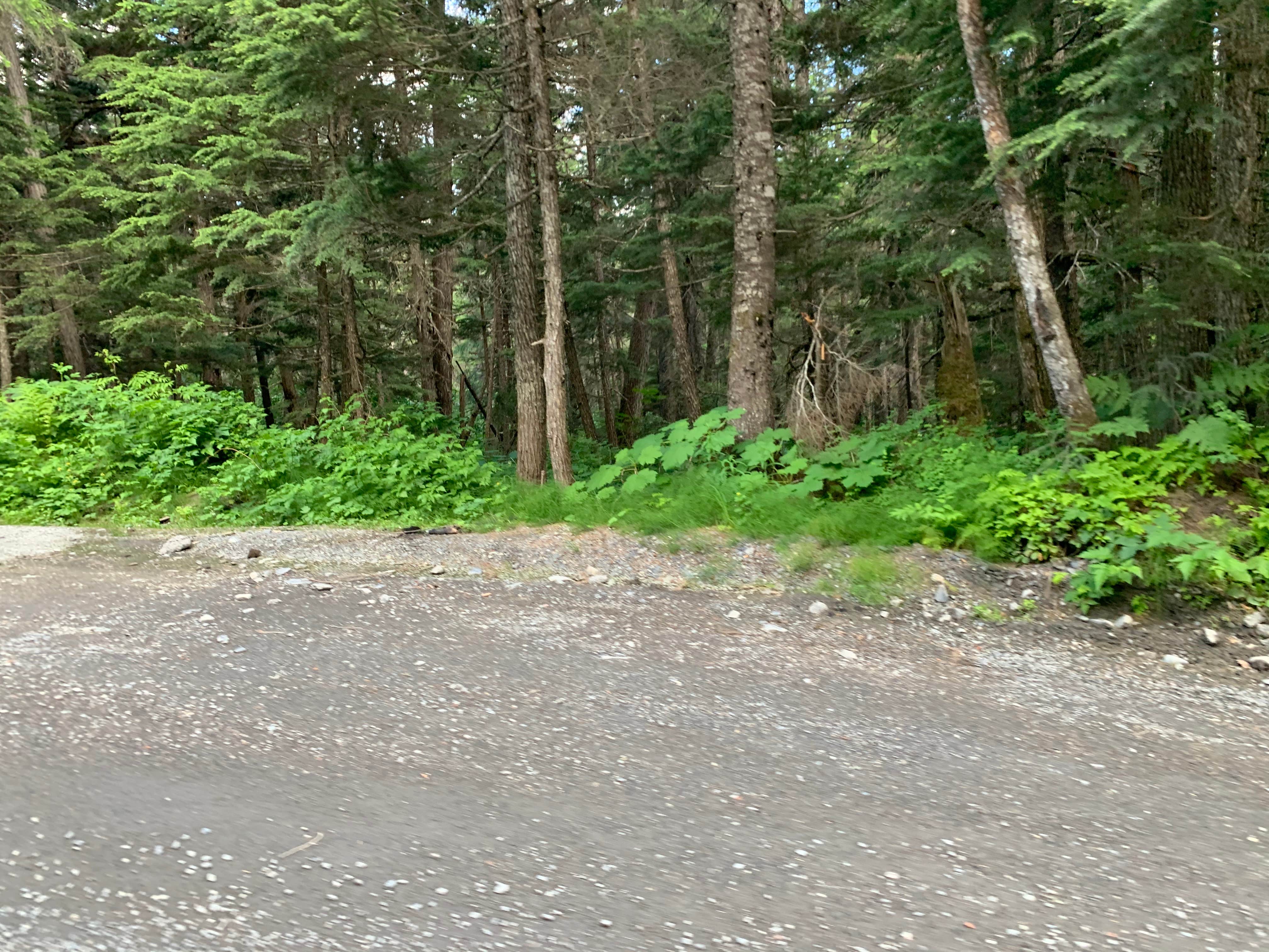 Camper-submitted photo at Gold Creek Gold Mine near Girdwood, AK