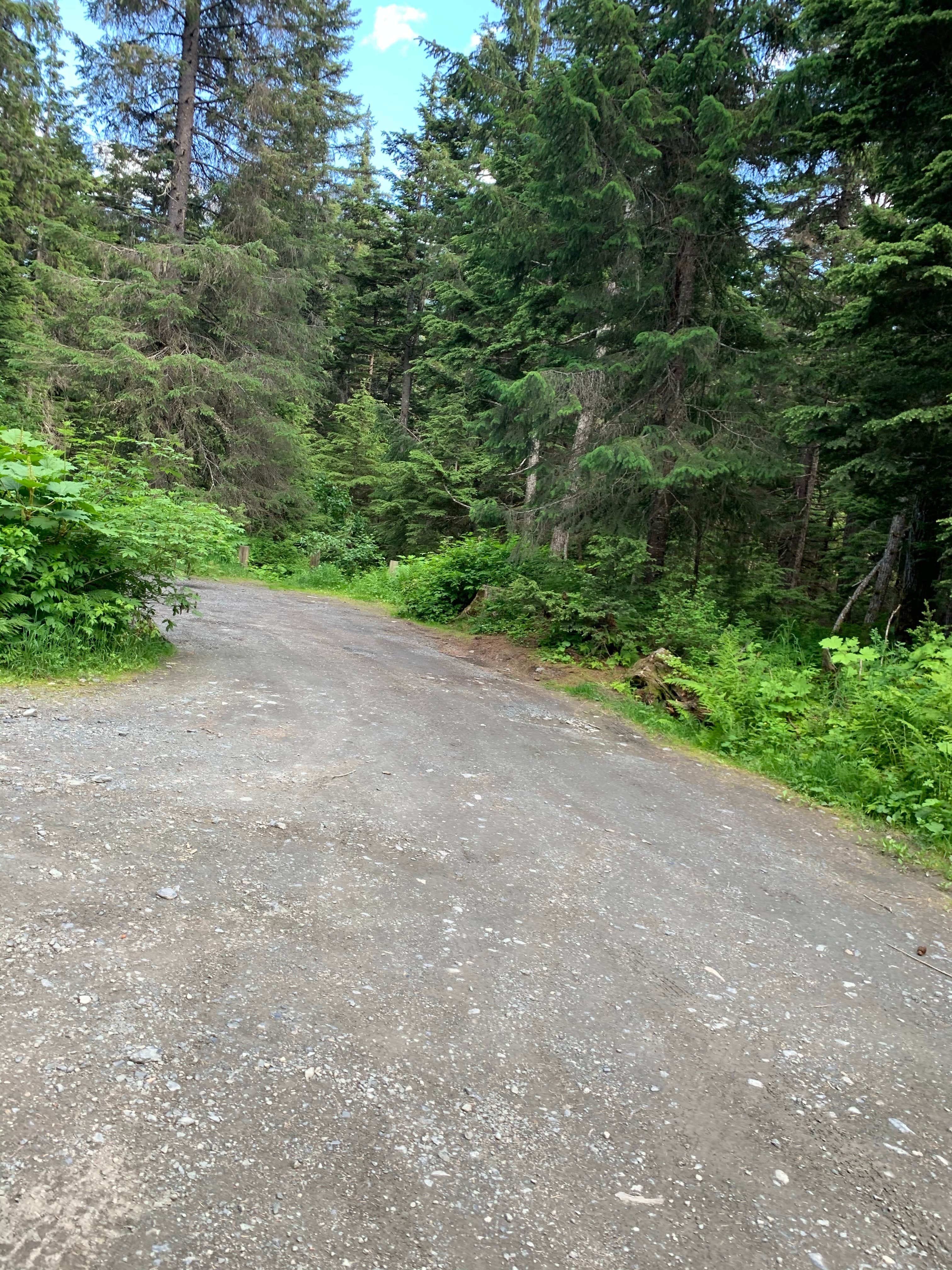 Camper-submitted photo at Gold Creek Gold Mine near Girdwood, AK