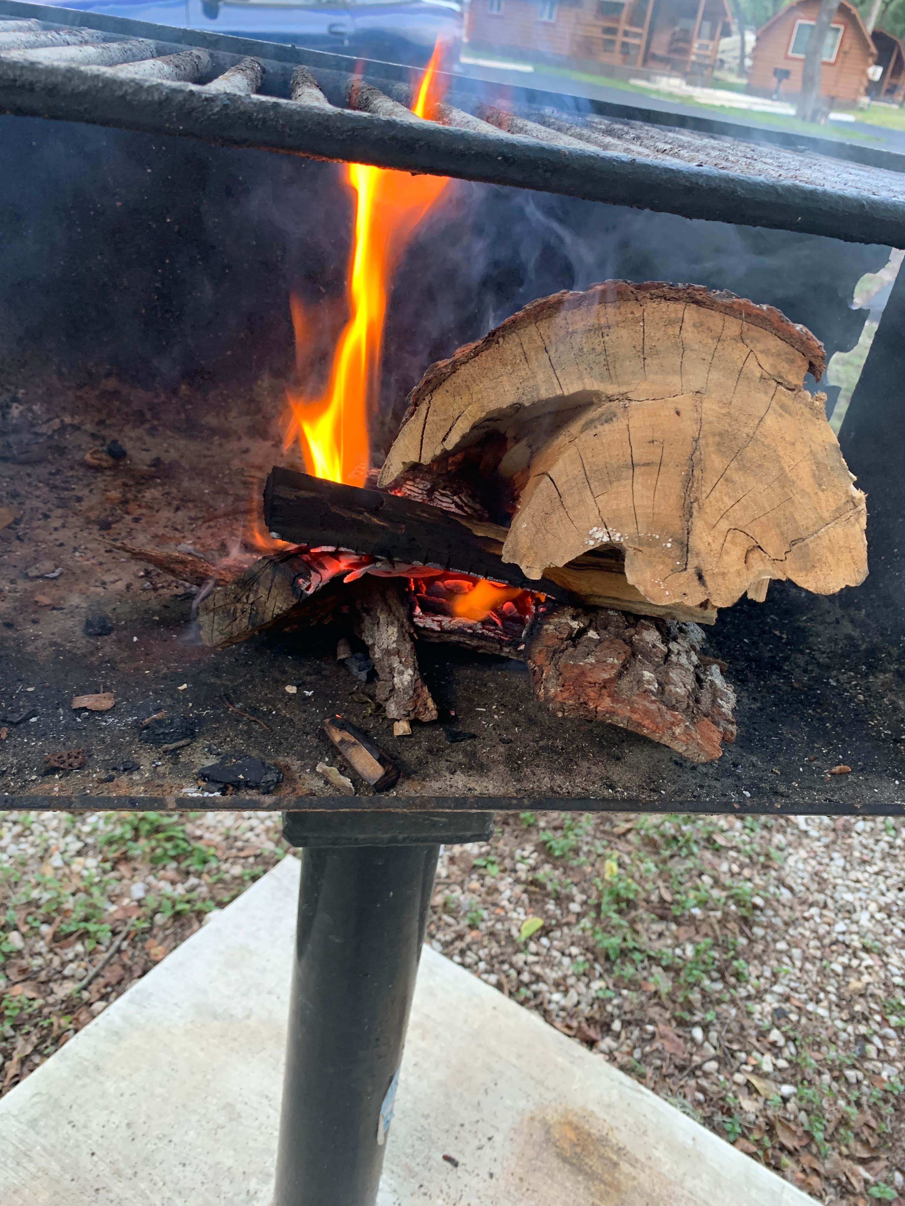 Camper submitted image from San Antonio KOA - 5