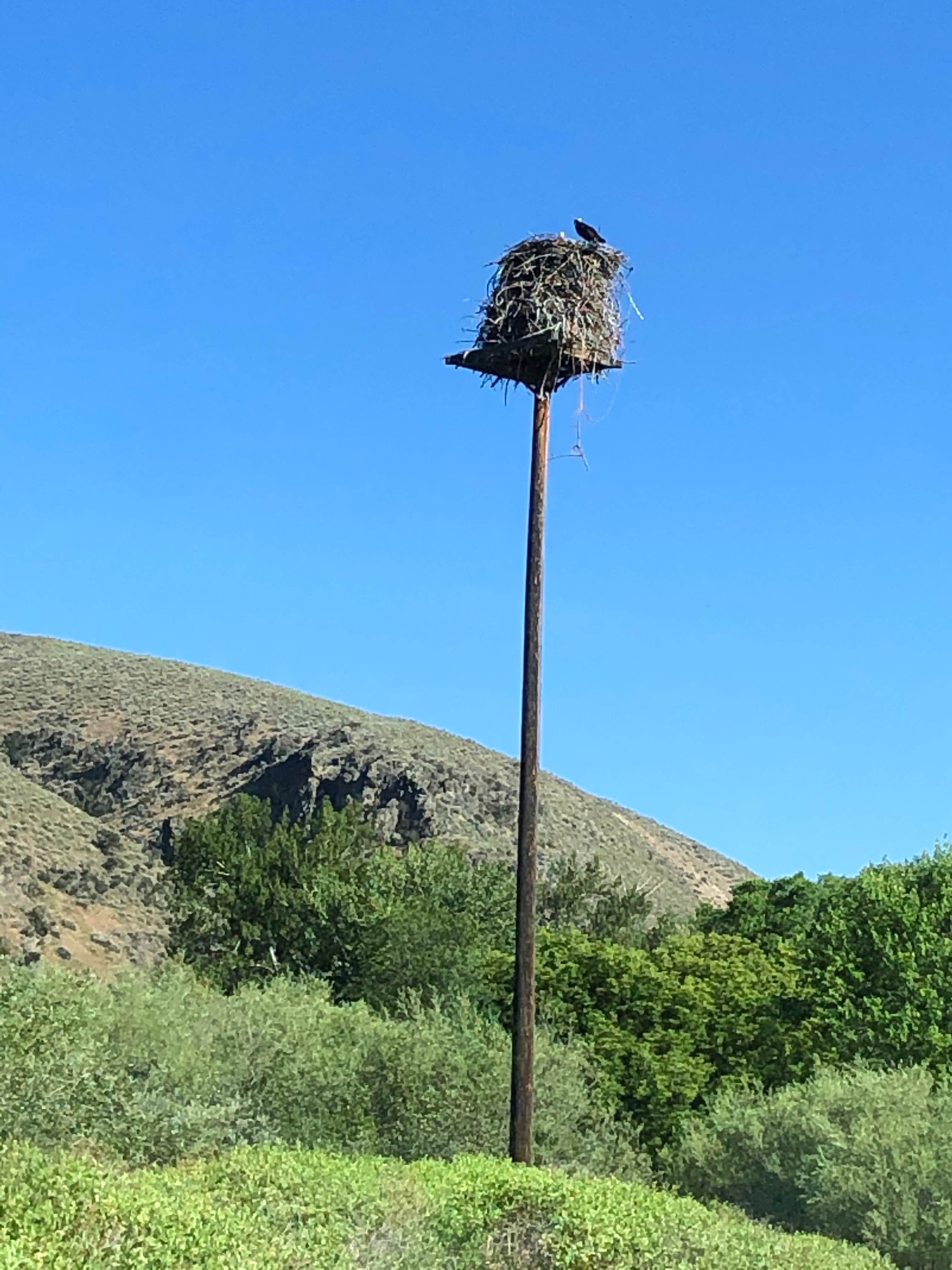 Camper-submitted photo at Tower Rock Recreation Site near Carmen, ID