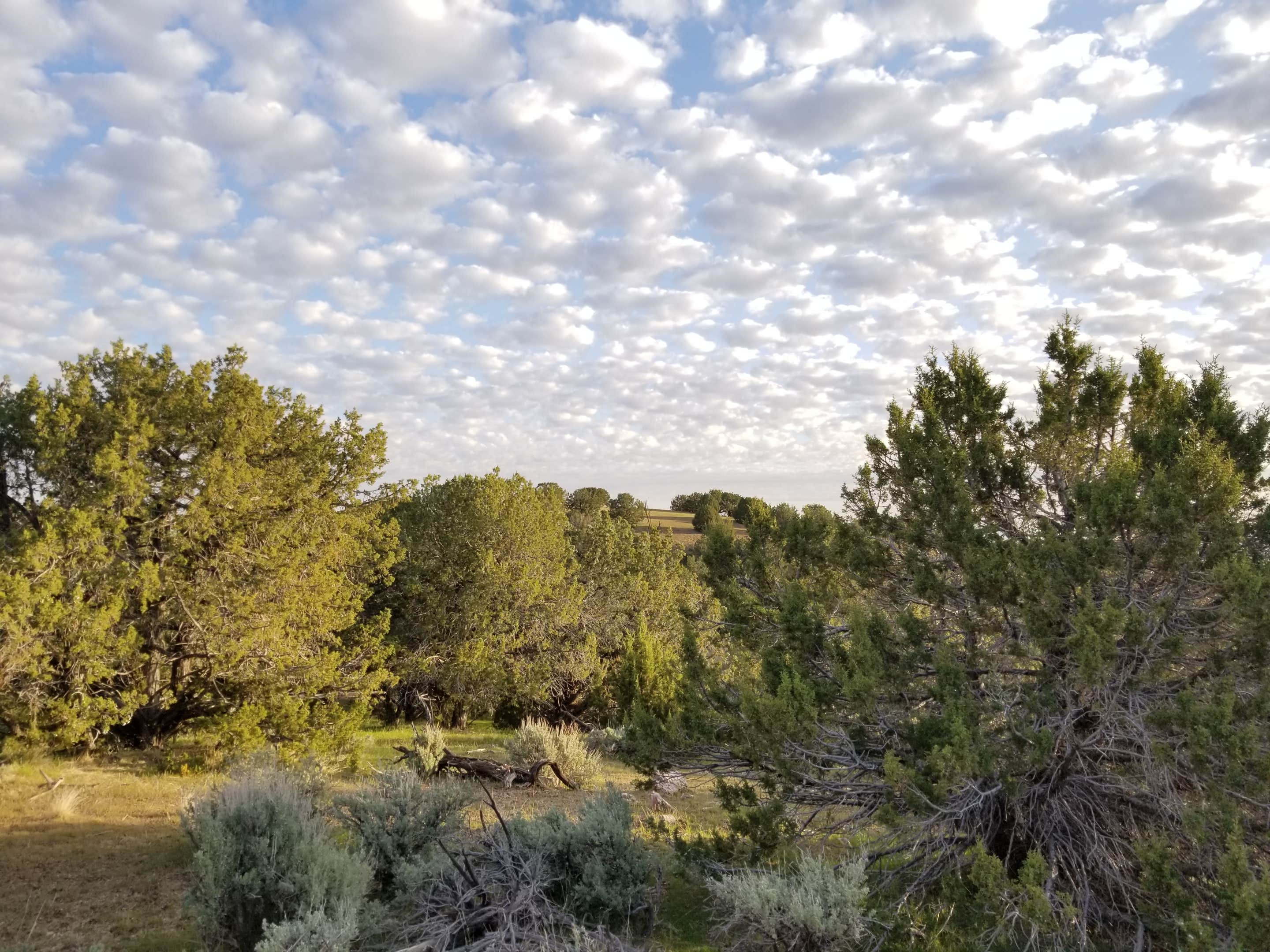 Camper submitted image from Three Creeks Reservoir - 2