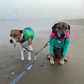 Review photo of Sun Outdoors Coos Bay by Sara S., September 5, 2020