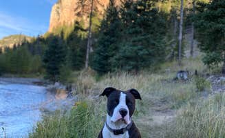 Rachel S.'s photo of camping with pets at Little Sunlight Camping Area near Cody, WY