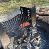 Review photo of Red Top Mountain State Park Campground by Jackie W., May 14, 2018