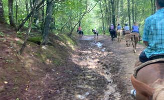 Molly F.'s photo of camping with pets at Pipestem Resort State Park Campground near Ripplemead, VA