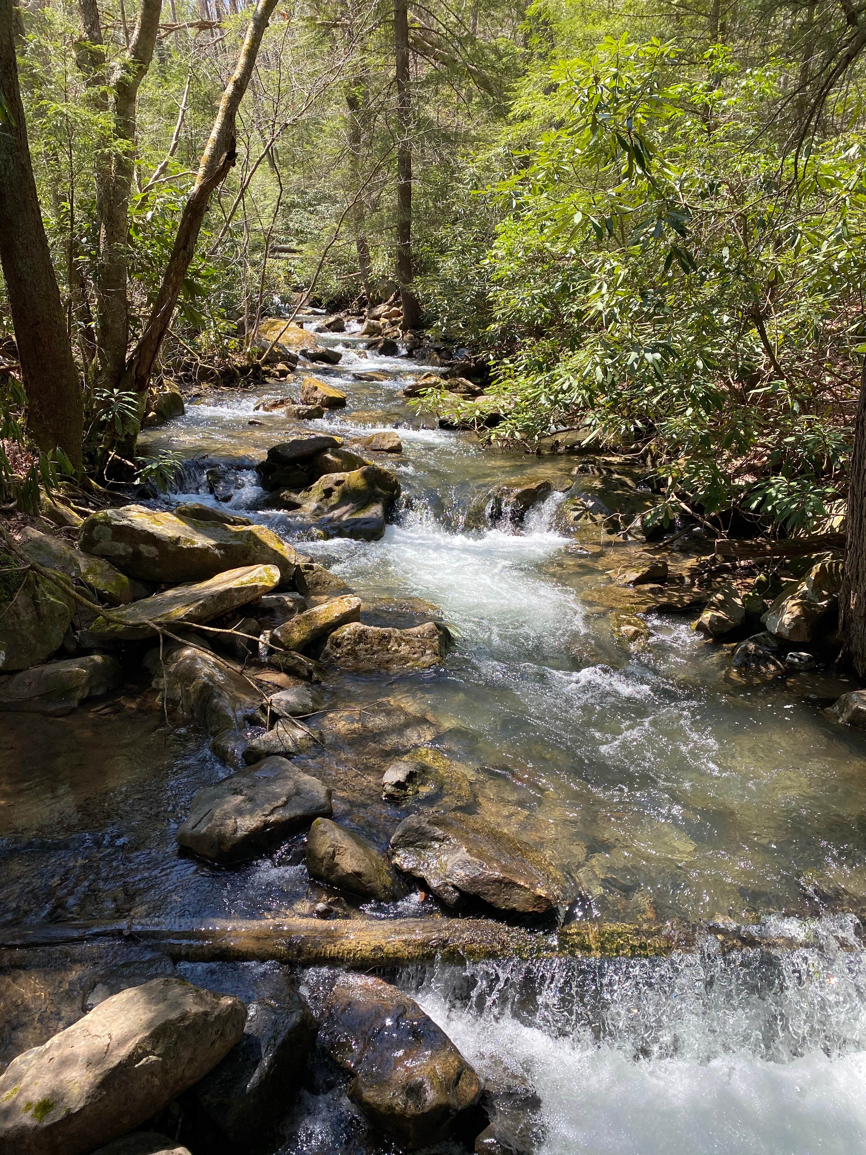 Camper-submitted photo at Sand Springs Campground near Greensboro, PA