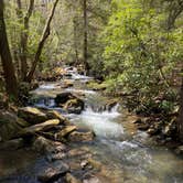 Review photo of Sand Springs Campground by Molly F., September 6, 2020