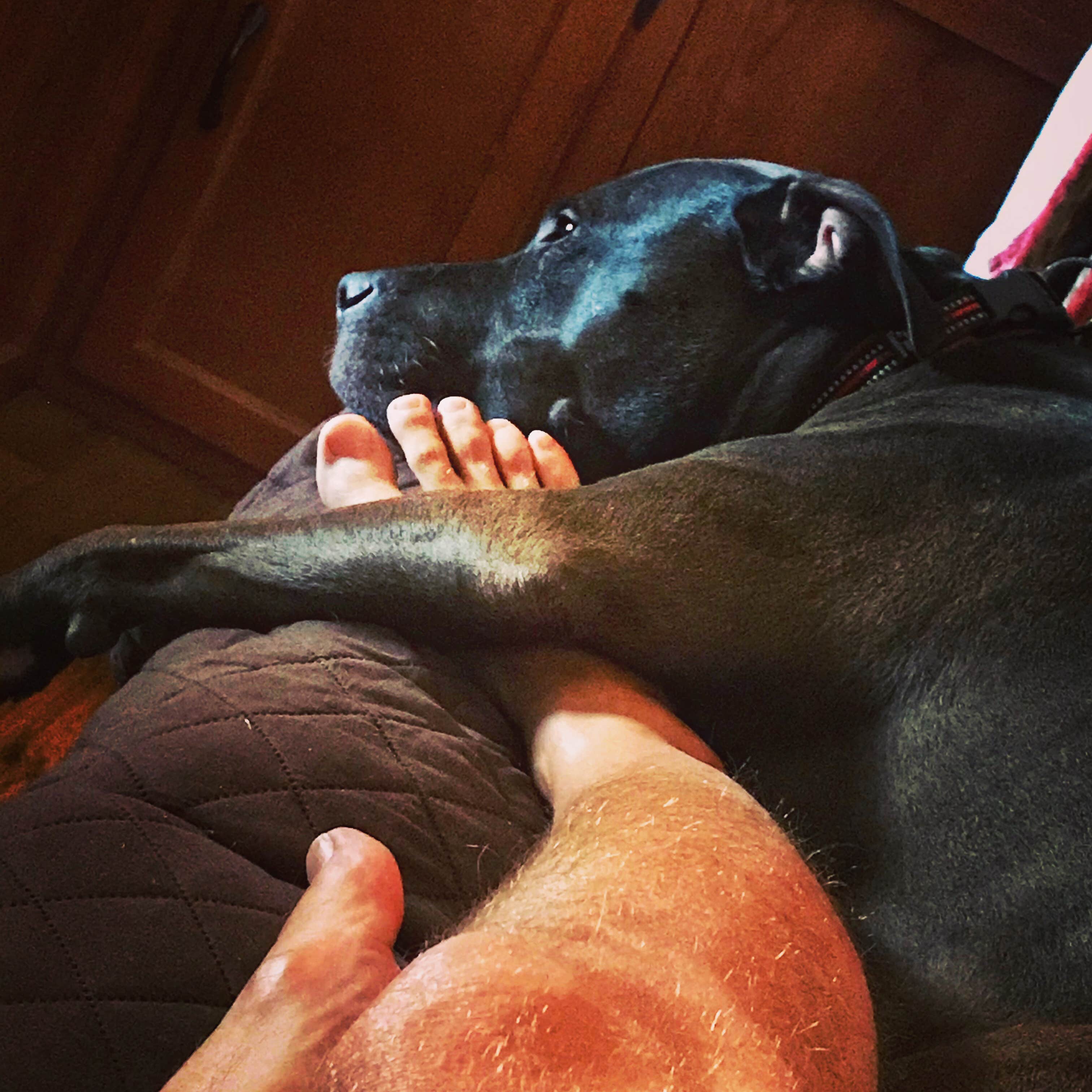 Kelly B.'s photo of camping with pets at Spring Hill Campground — Boiling Springs State Park near Fort Supply Lake