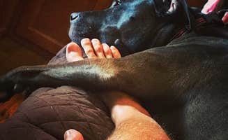 Kelly B.'s photo of camping with pets at Spring Hill Campground — Boiling Springs State Park near Freedom, OK