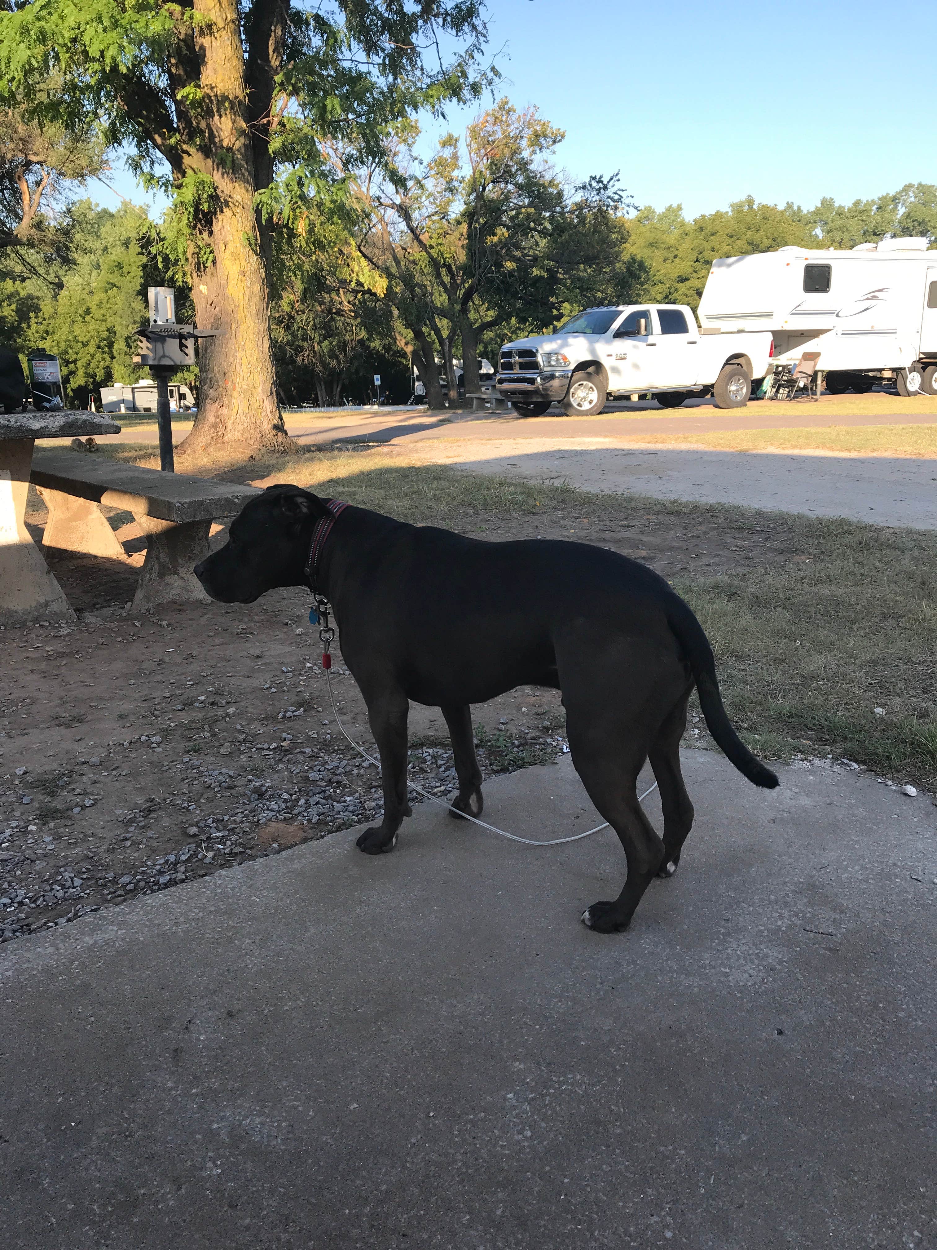 Kelly B.'s photo of rv camping at Spring Hill Campground — Boiling Springs State Park near Freedom, OK