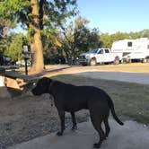 Review photo of Spring Hill Campground — Boiling Springs State Park by Kelly B., September 6, 2020