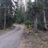 Review photo of Spruce Grove by Greg L., September 6, 2020