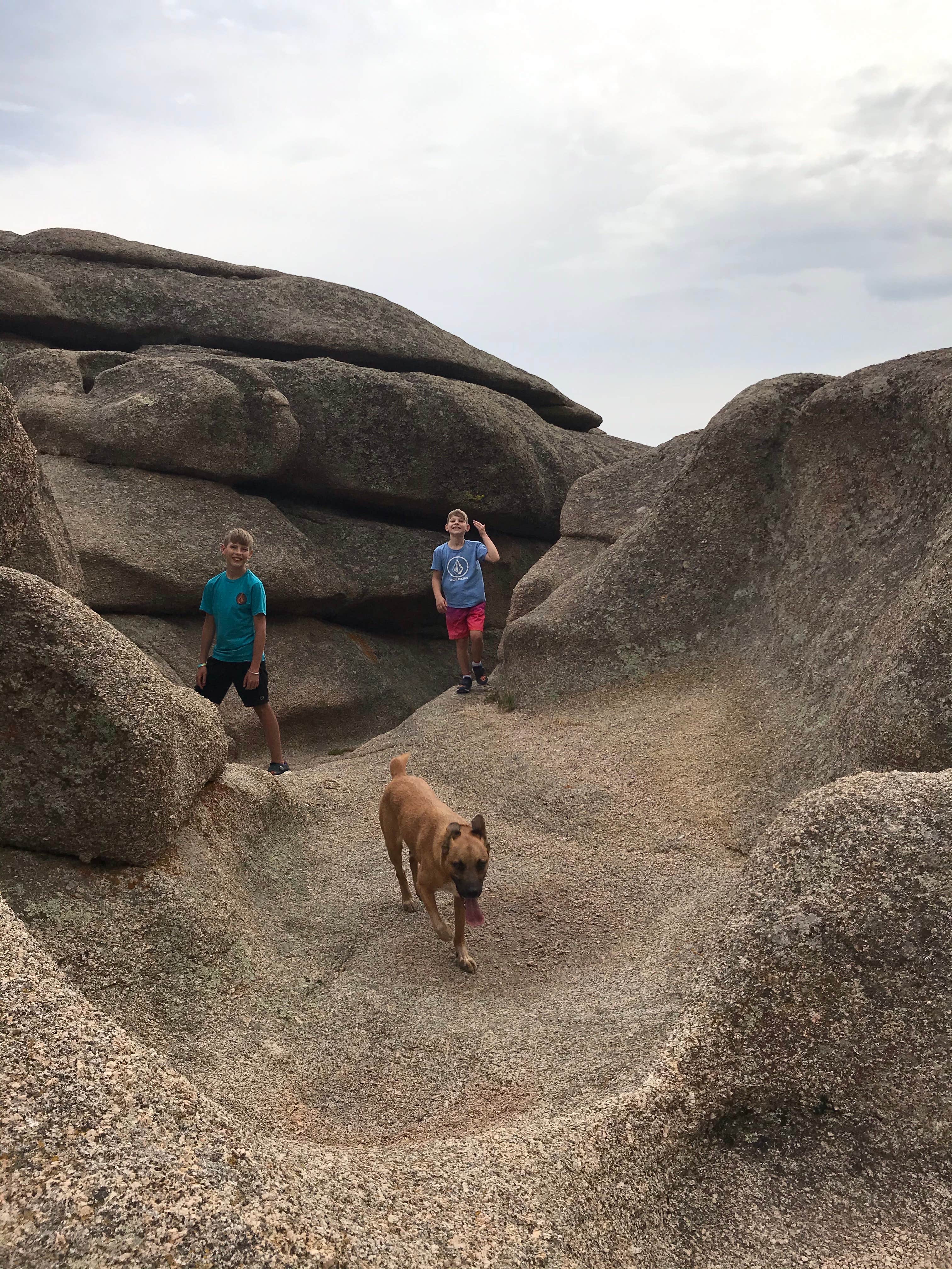 Royce's photo of camping with pets at Forest Service Road 700 Designated Dispersed Camping near Laramie, WY