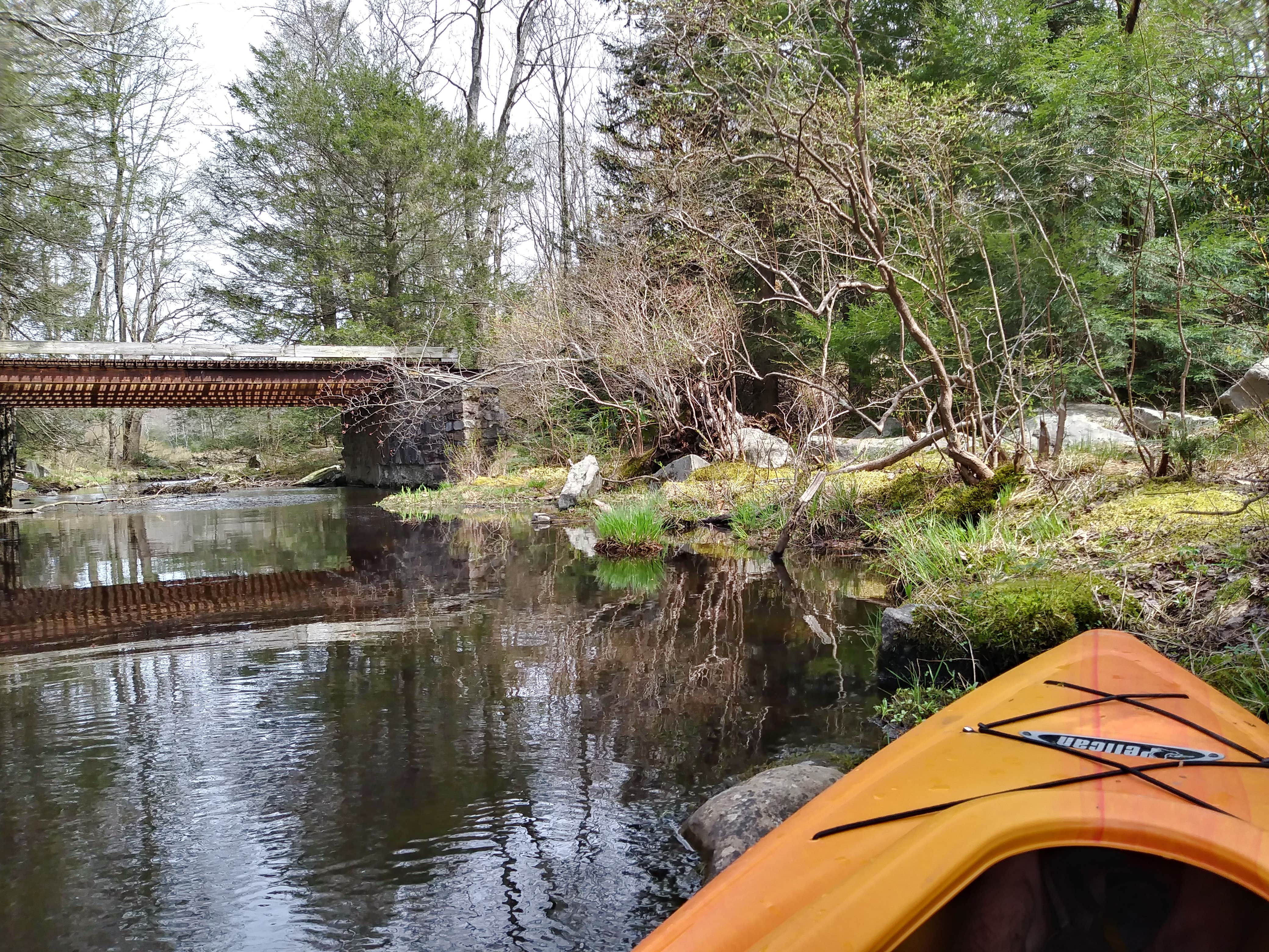 Camper-submitted photo at Pickerel Point Campground — Promised Land State Park near Hewitt, NJ