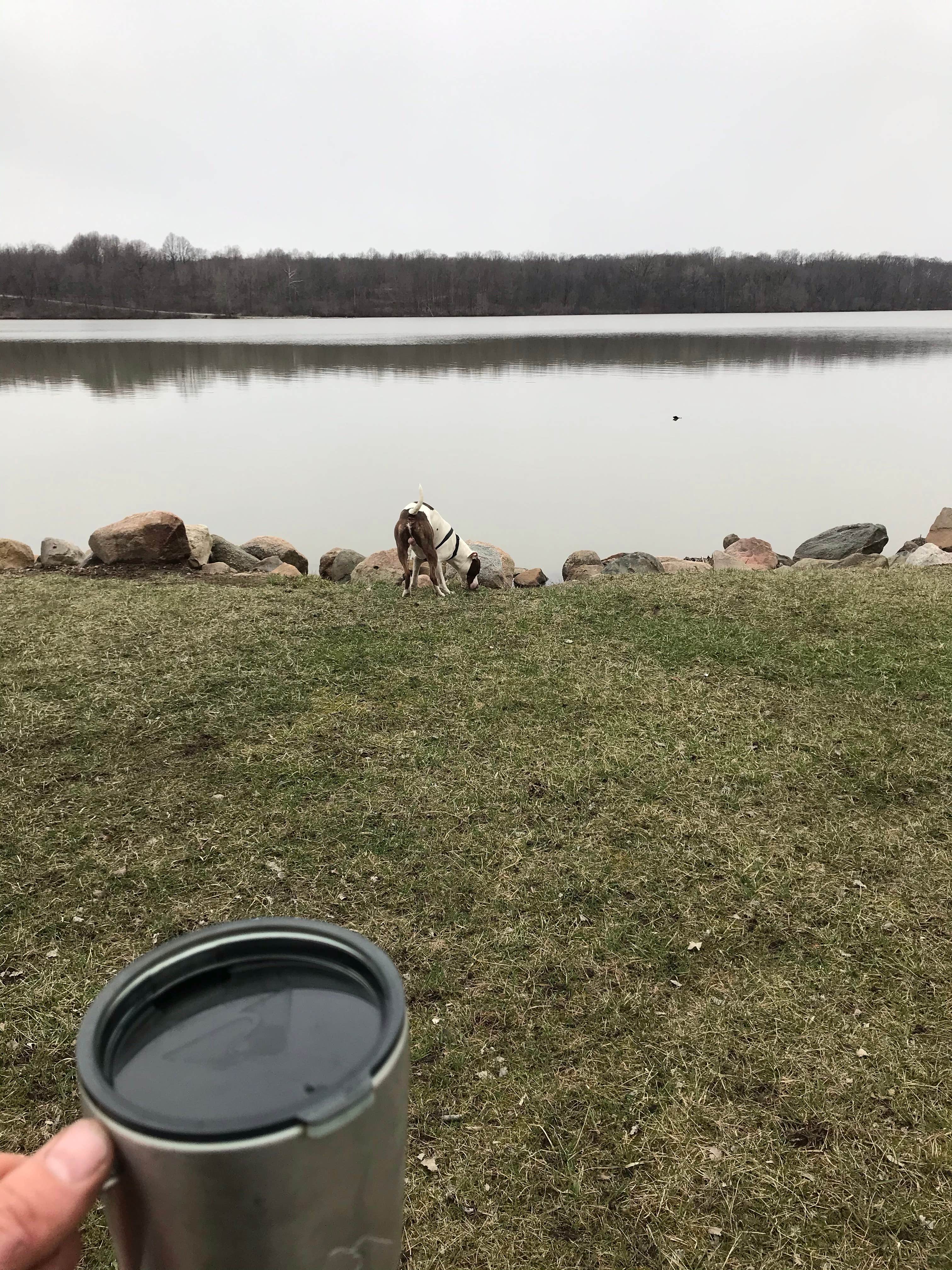 Camper-submitted photo at Kiser Lake State Park Campground near Troy, OH