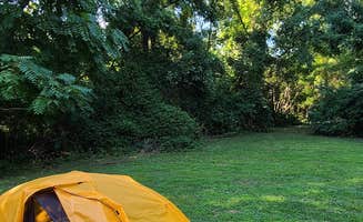 Anil S.'s photo at Croton Point Park near Eastchester, NY