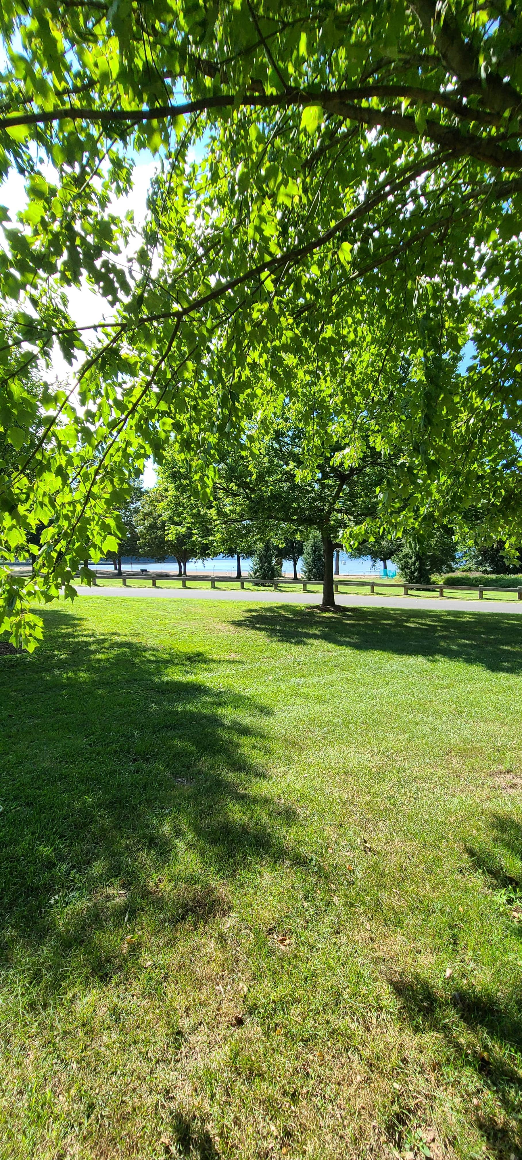 Camper submitted image from Croton Point Park - 2