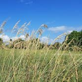 Review photo of Fort De Soto Campground by L O., September 6, 2020