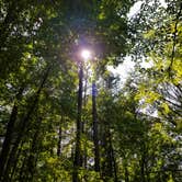 Review photo of Horine Reservation Camping at Jefferson County Memorial Forest by Mike G., September 6, 2020