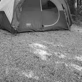 Review photo of Horine Reservation Camping at Jefferson County Memorial Forest by Mike G., September 6, 2020