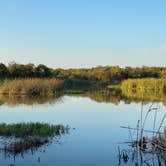 Review photo of Live Oak — Lake Mineral Wells State Park by Mic R., September 6, 2020