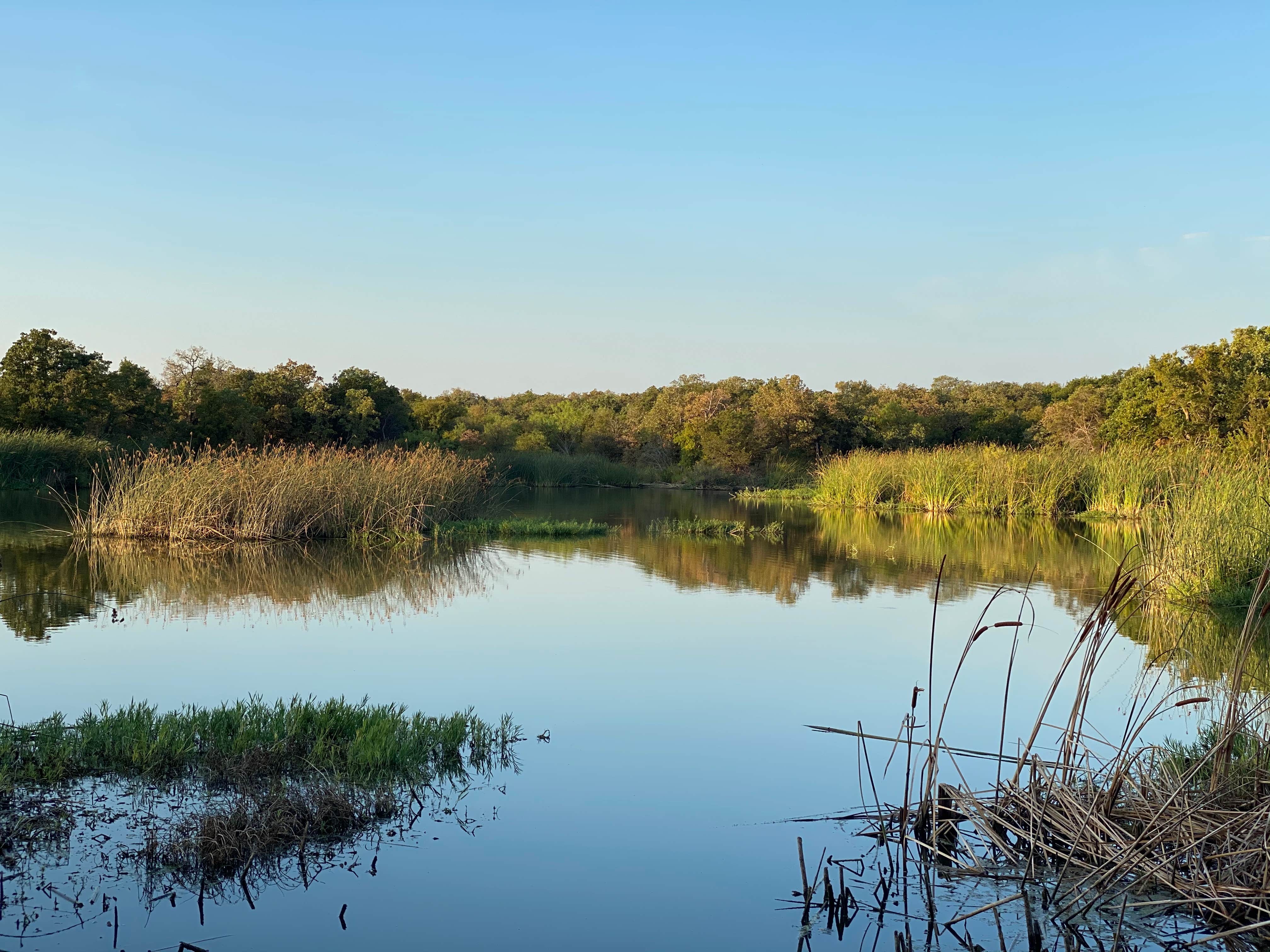 Camper submitted image from Live Oak — Lake Mineral Wells State Park - 3