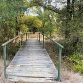 Review photo of Live Oak — Lake Mineral Wells State Park by Mic R., September 6, 2020