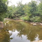 Review photo of Live Oak — Lake Mineral Wells State Park by Mic R., September 6, 2020