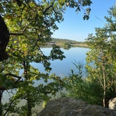 Review photo of Live Oak — Lake Mineral Wells State Park by Mic R., September 6, 2020