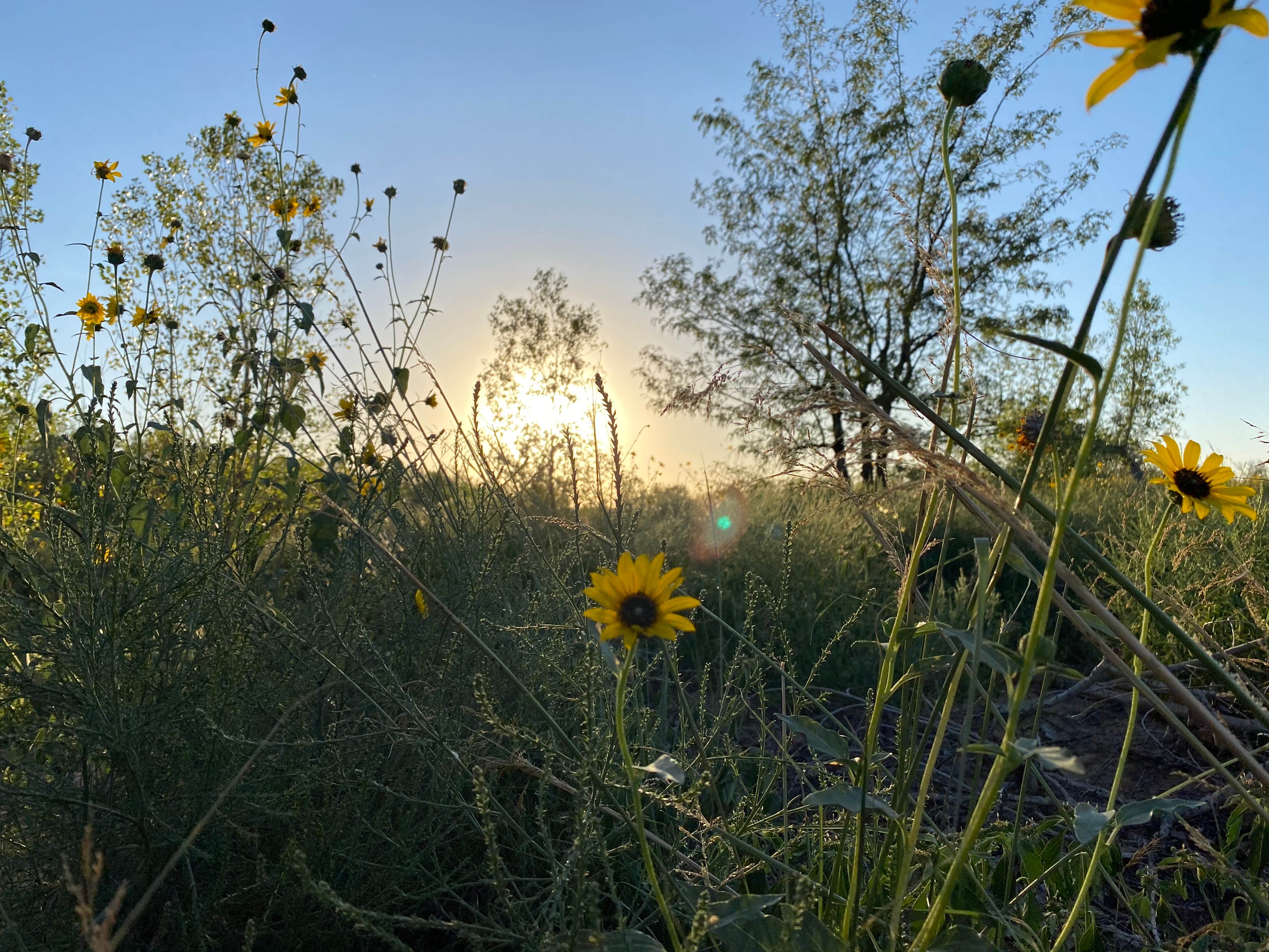 Camper-submitted photo at Cimarron Campground near Richfield, KS